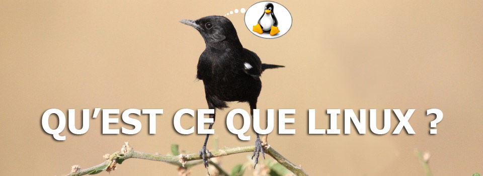 Qu'est ce que Linux ?